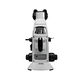 Trinocular Biological Microscope
